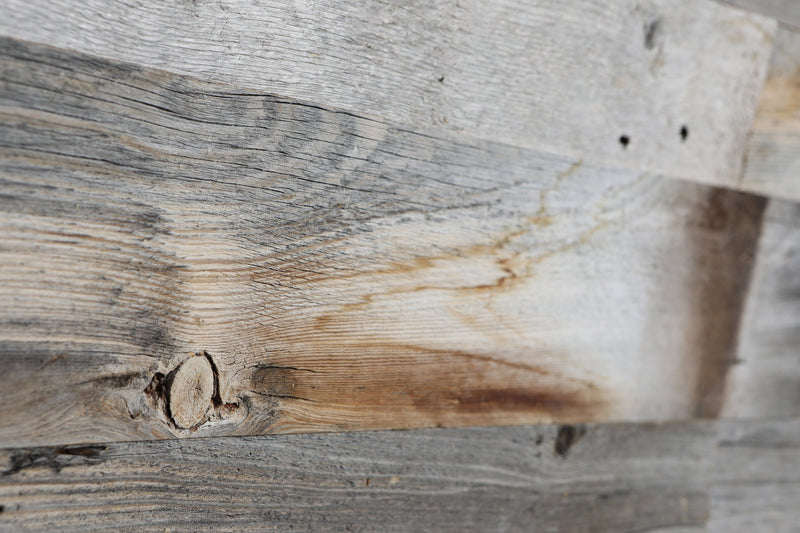 COYOTE - ross alan reclaimed lumber