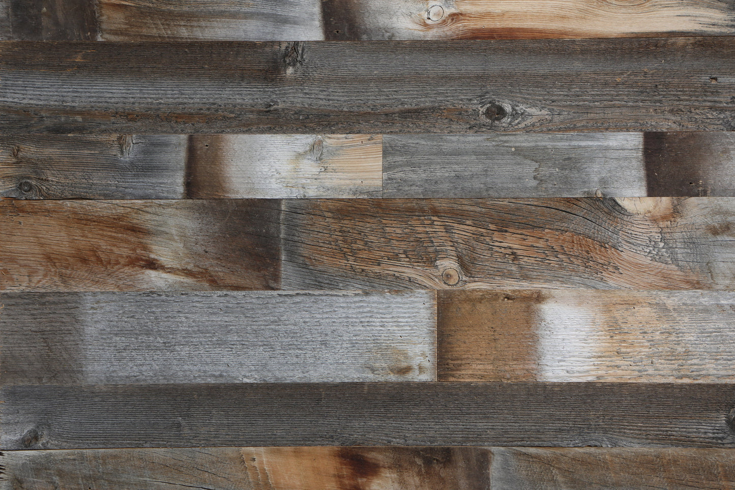 GRAY WOLF - ross alan reclaimed lumber